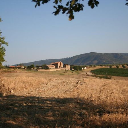 Agriturismo Podere Del Vescovo Montenero d'Orcia Ngoại thất bức ảnh