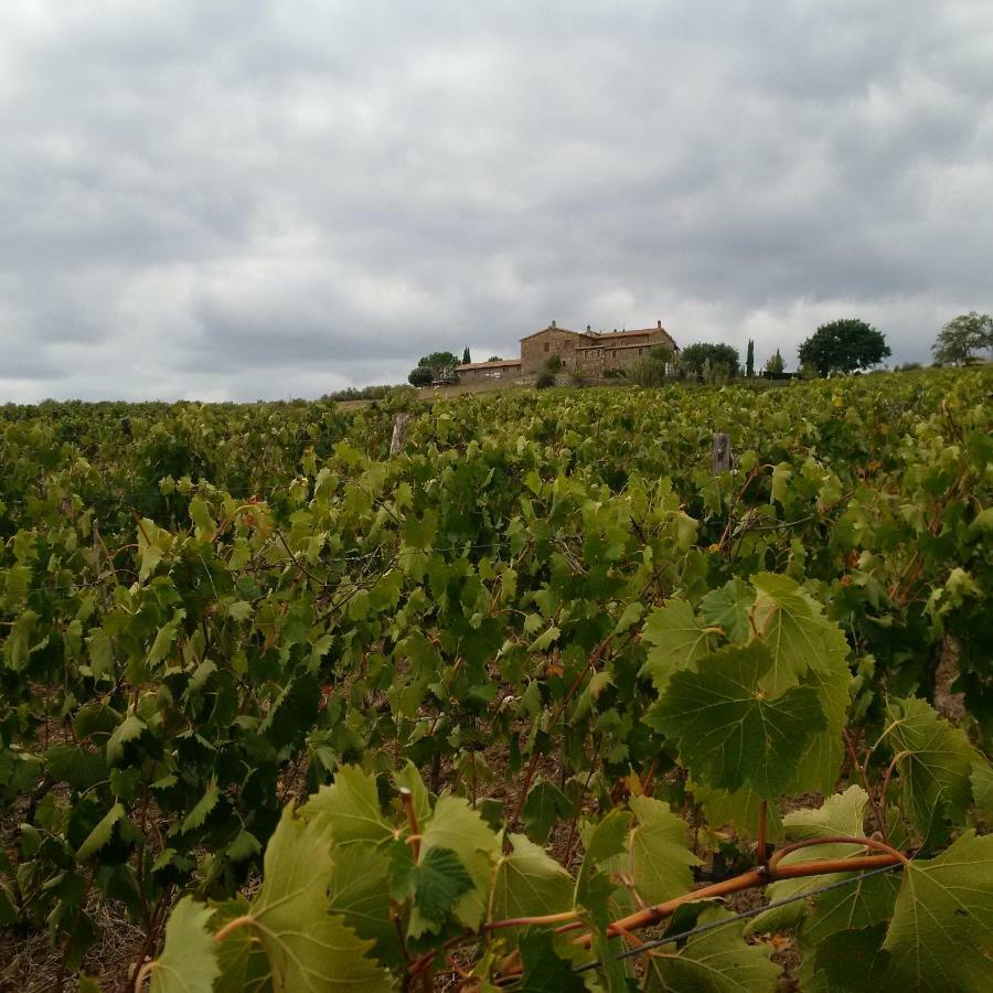 Agriturismo Podere Del Vescovo Montenero d'Orcia Ngoại thất bức ảnh