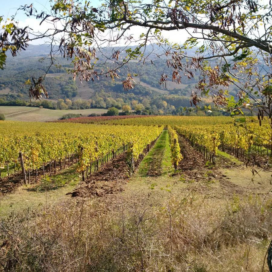 Agriturismo Podere Del Vescovo Montenero d'Orcia Ngoại thất bức ảnh