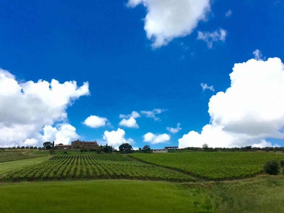 Agriturismo Podere Del Vescovo Montenero d'Orcia Ngoại thất bức ảnh