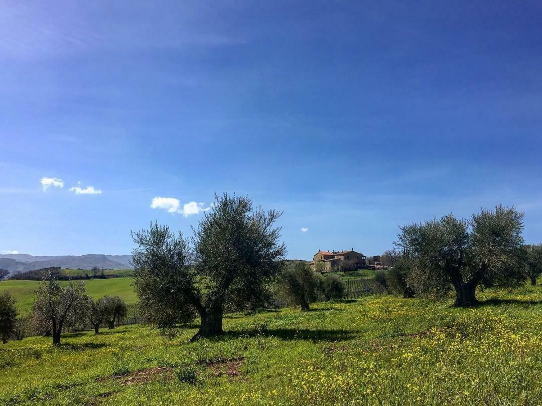 Agriturismo Podere Del Vescovo Montenero d'Orcia Ngoại thất bức ảnh